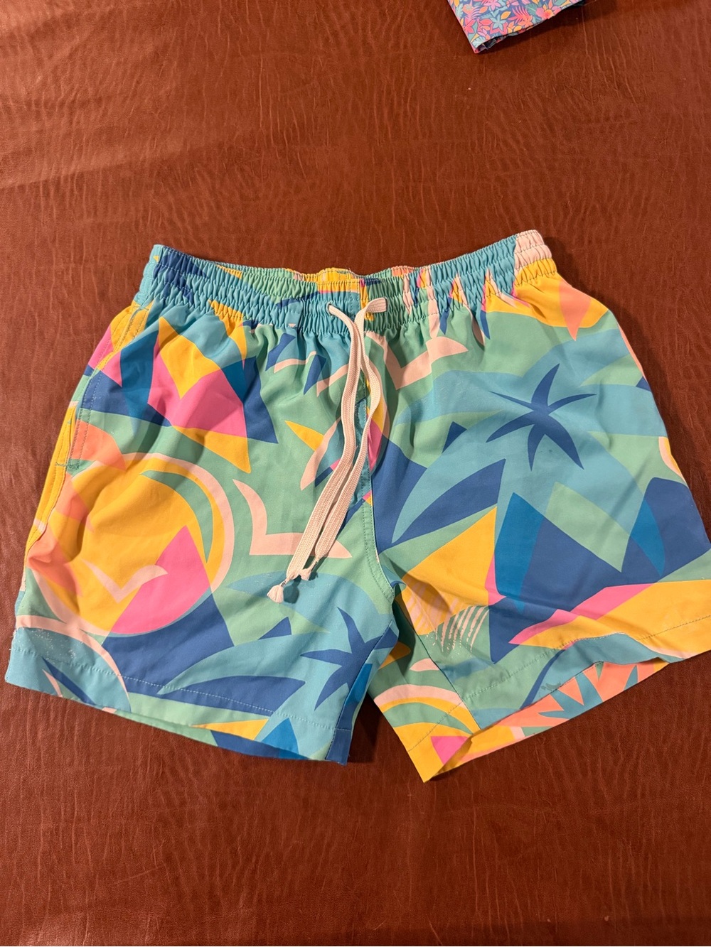 Men's Chubbies Geo Print Swim Trunks - Mint Multi small 5.5”